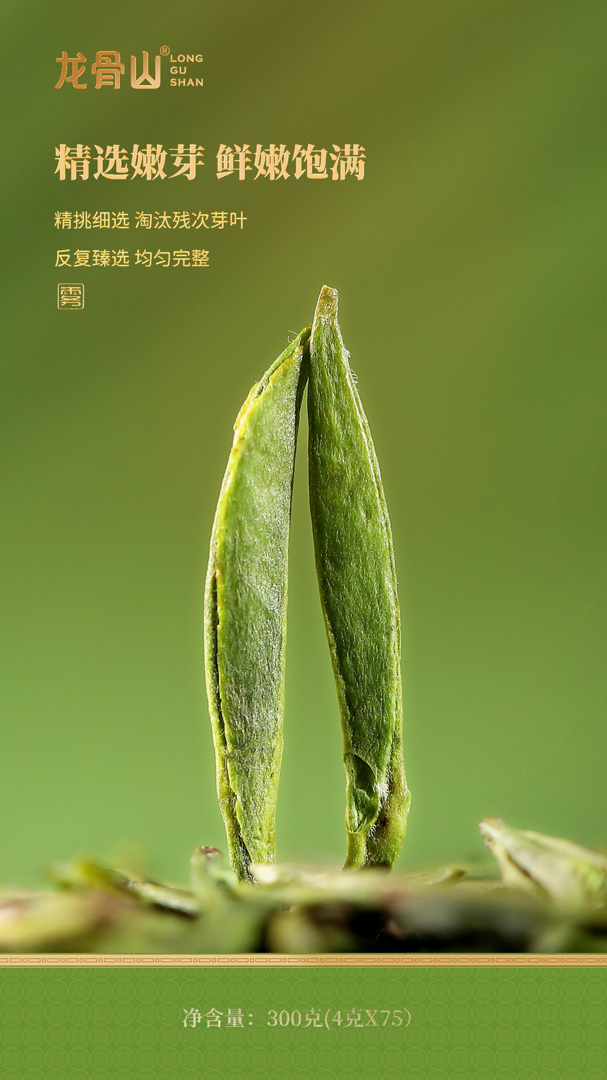 Pre-Qingming High Mountain Green Tea